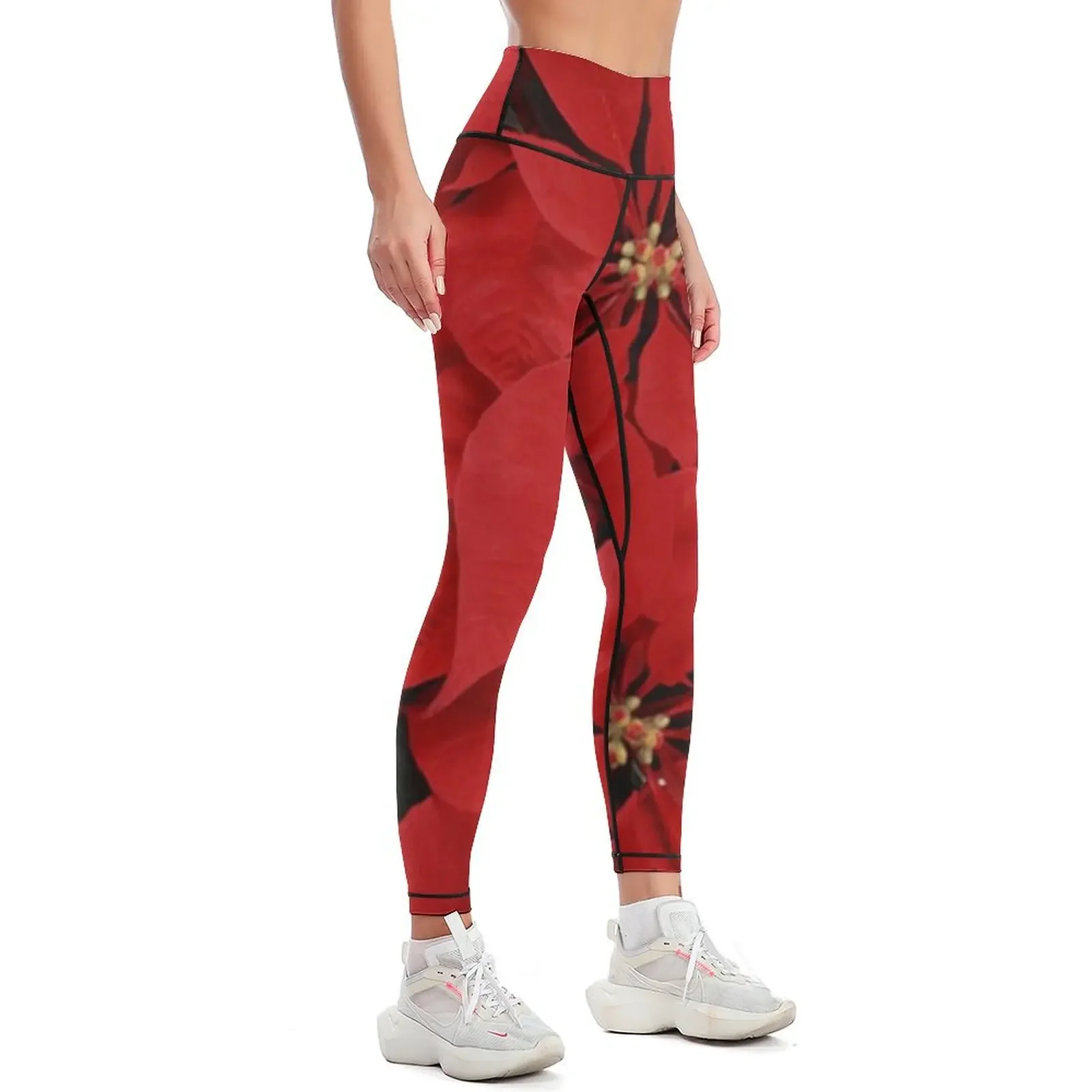 Poinsettias for Christmas, hol - Yoga Fitness Holiday avis et prix