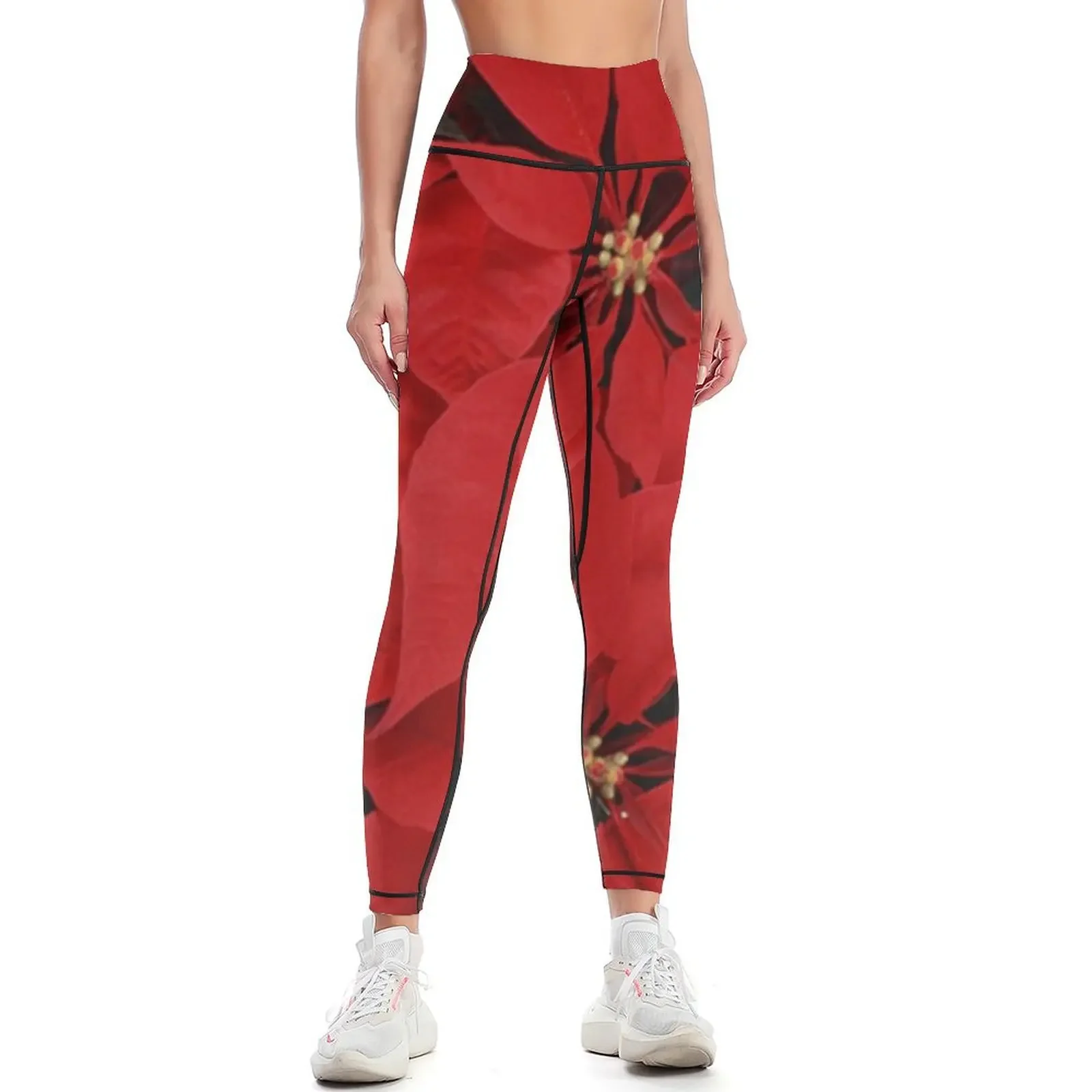 Poinsettias for Christmas, hol - Yoga Fitness Holiday avis et prix
