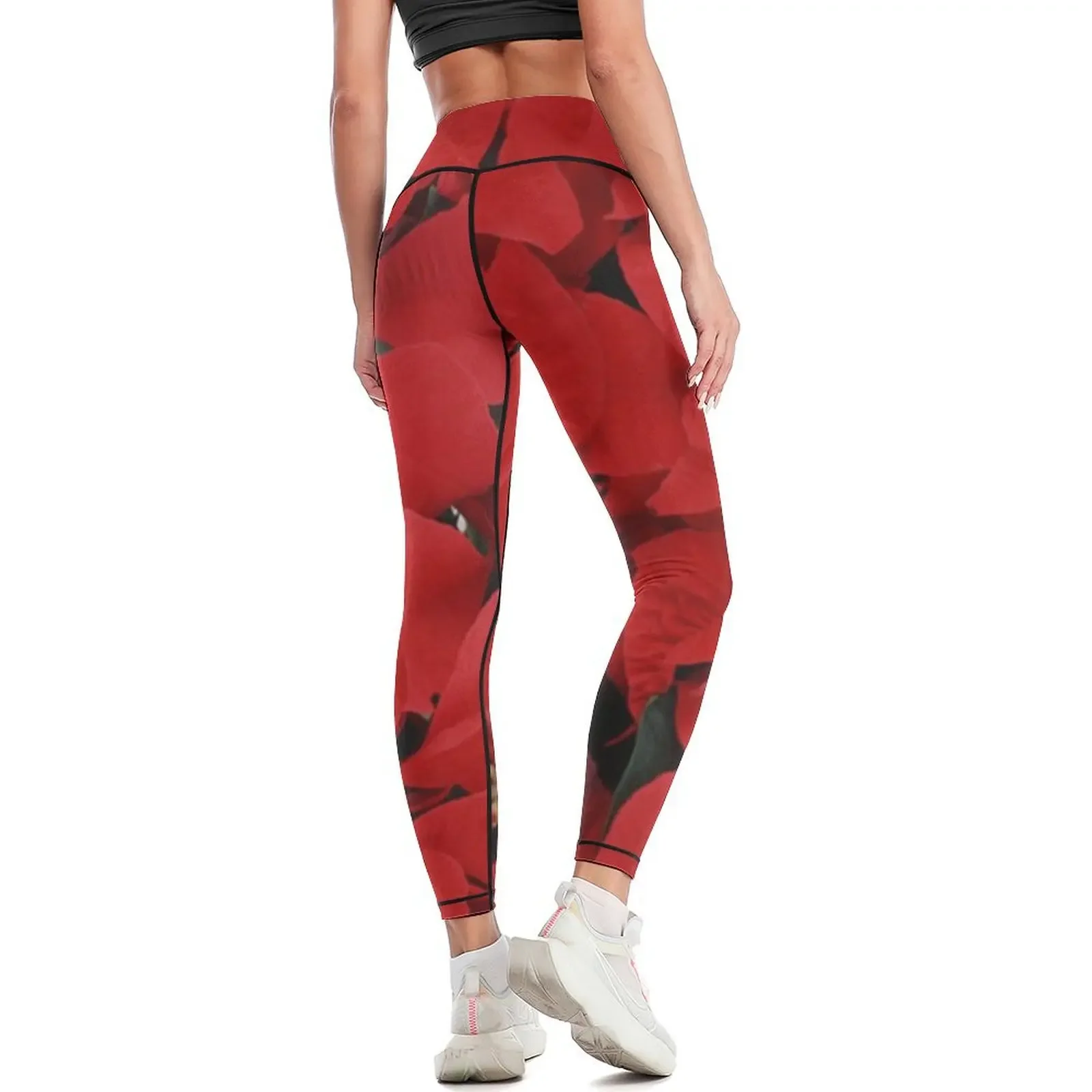Poinsettias for Christmas, hol - Yoga Fitness Holiday avis et prix